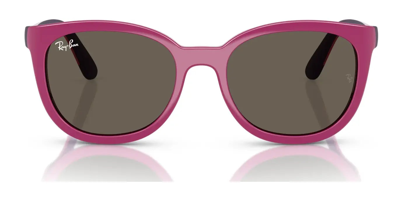 Ray-Ban RY1631C Clip-On Sunglasses Ray-Ban RY1631C Clip-On Sunglasses
