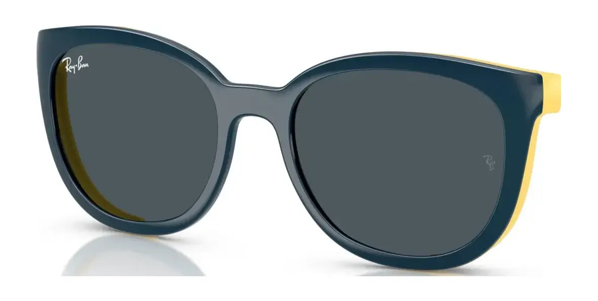 Ray-Ban RY1631C Clip-On Sunglasses Ray-Ban RY1631C Clip-On Sunglasses