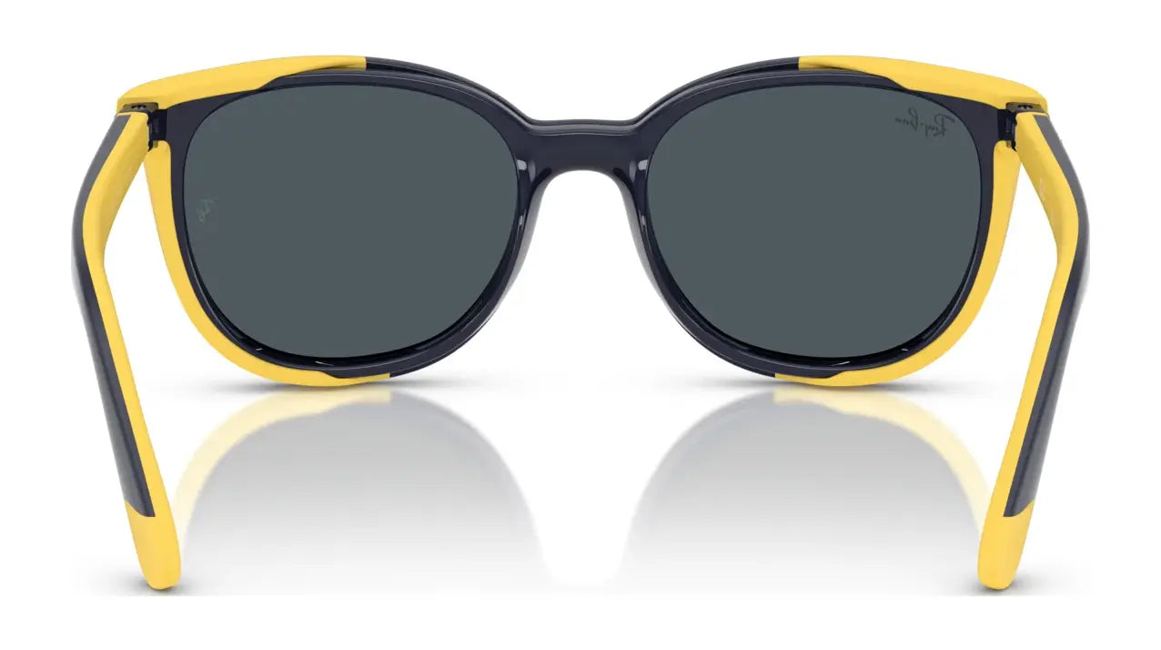 Ray-Ban RY1631C Clip-On Sunglasses Ray-Ban RY1631C Clip-On Sunglasses