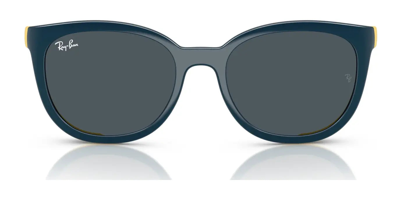 Ray-Ban RY1631C Clip-On Sunglasses Ray-Ban RY1631C Clip-On Sunglasses