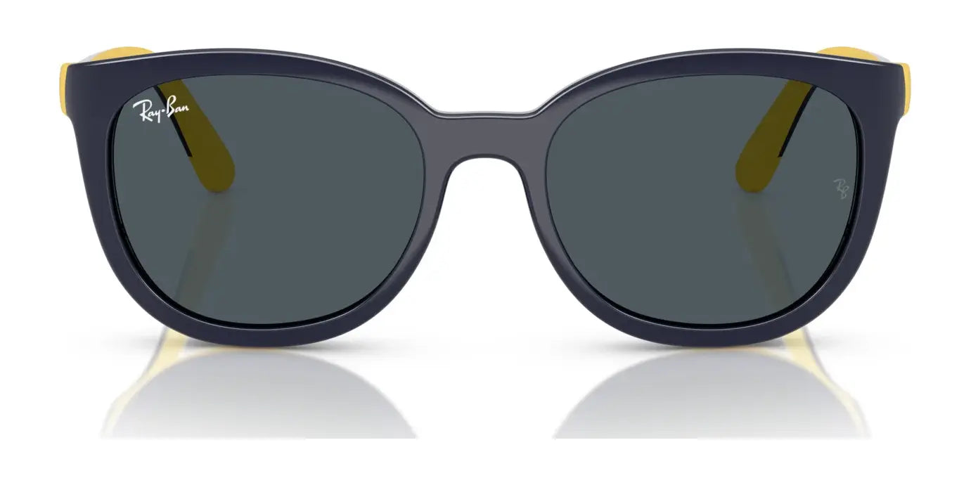 Ray-Ban RY1631C Clip-On Sunglasses Ray-Ban RY1631C Clip-On Sunglasses