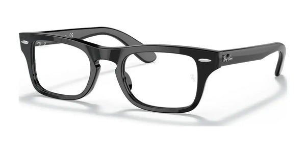 Ray-Ban JUNIOR BURBANK RY9083V Eyeglasses / Black №3542 / Size 41