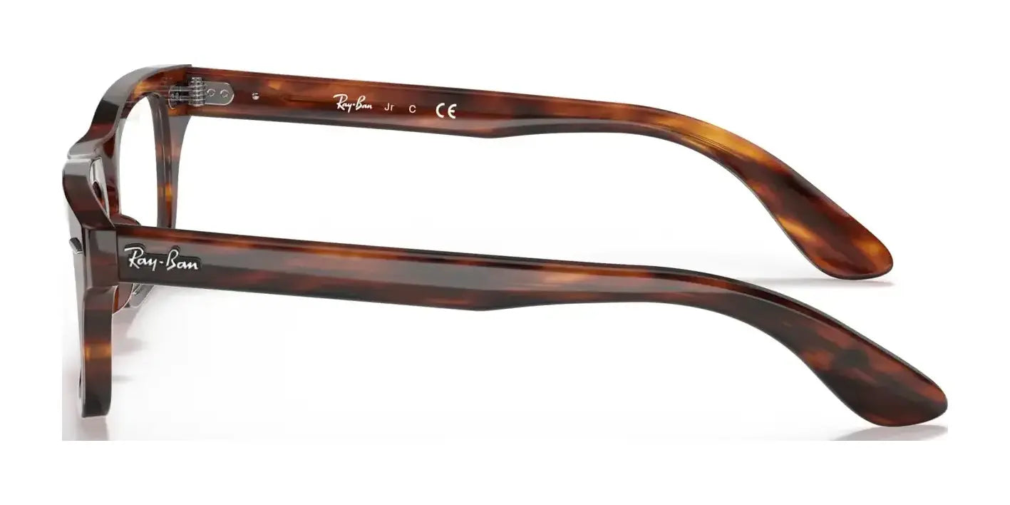 Ray-Ban JUNIOR BURBANK RY9083V Eyeglasses Ray-Ban JUNIOR BURBANK RY9083V Eyeglasses