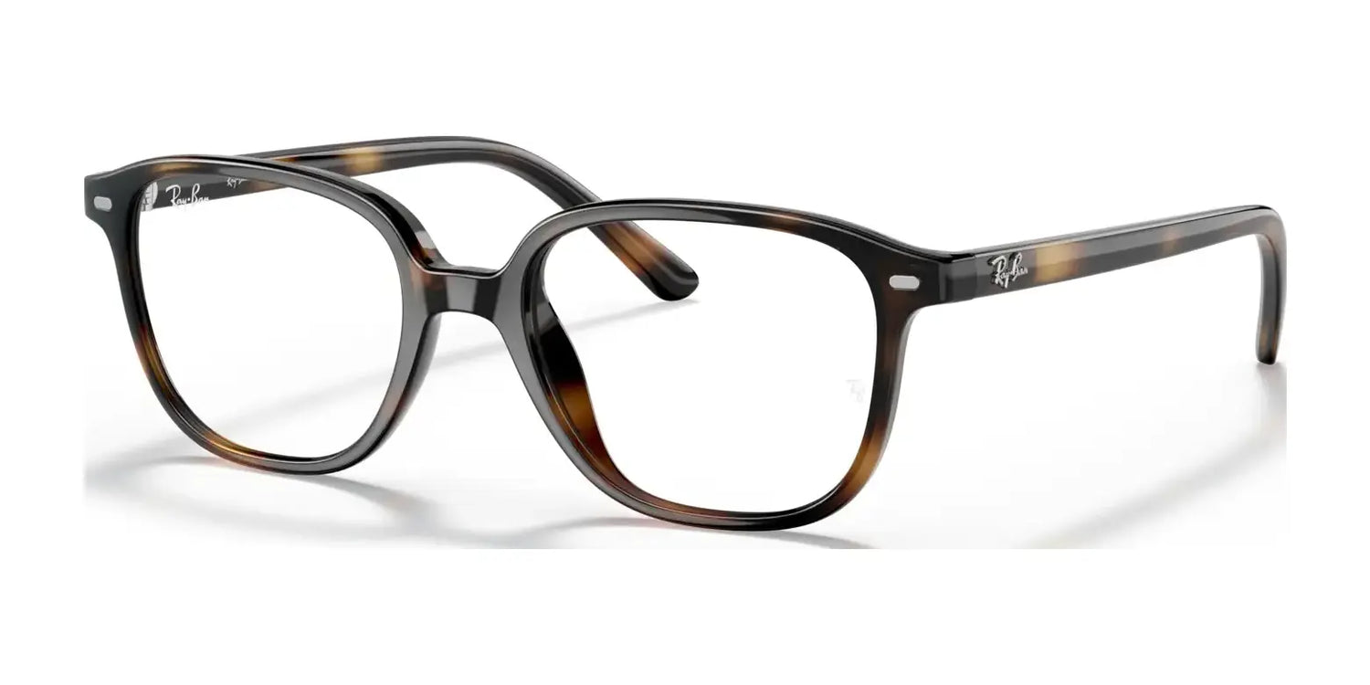 Ray-Ban JUNIOR LEONARD RY9093V Eyeglasses Ray-Ban JUNIOR LEONARD RY9093V Eyeglasses