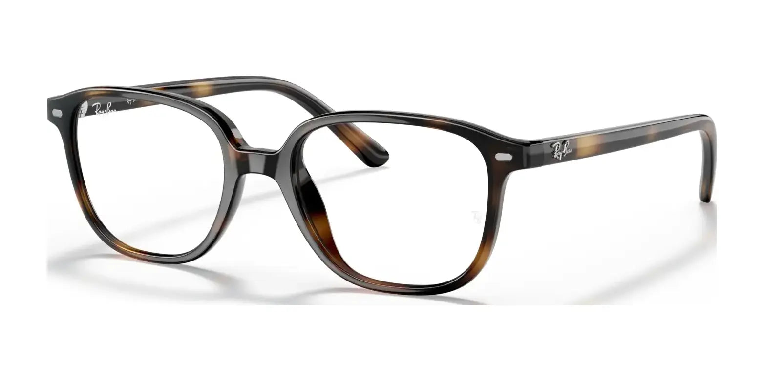 Ray-Ban JUNIOR LEONARD RY9093V Eyeglasses Ray-Ban JUNIOR LEONARD RY9093V Eyeglasses