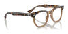 Ray-Ban RY9098V Eyeglasses / Black On Transparent №3529 / Size 43
