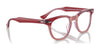 Ray-Ban RY9098V Eyeglasses / Black On Transparent №3529 / Size 43