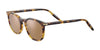 Serengeti ARLIE Sunglasses | Size 52 / Shiny Classic Havana / Mineral Polarized Drivers Cat 2 to 3