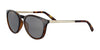 Serengeti BRAWLEY Sunglasses | Size 54 / Matte Black / Saturn 555nm Cat 2 to 3 B6
