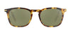 Serengeti DELIO Sunglasses | Size 51 / Crystal Shiny / Mineral Polarized 555nm Cat 3 to 3
