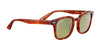 Serengeti ETHAN Sunglasses | Size 52 / Shiny Classic Havana / Mineral Non Polarized 555nm Cat 2 to 3