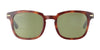 Serengeti ETHAN Sunglasses | Size 52 / Shiny Classic Havana / Mineral Non Polarized 555nm Cat 2 to 3