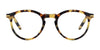 Serengeti GABBY Eyeglasses / Shiny Classic Havana