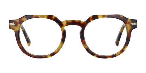 Serengeti GERVAIS Eyeglasses / Size 49 / Havana Shiny