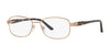 Sferoflex SF2570 Eyeglasses / Shiny Copper №488 / Size 52