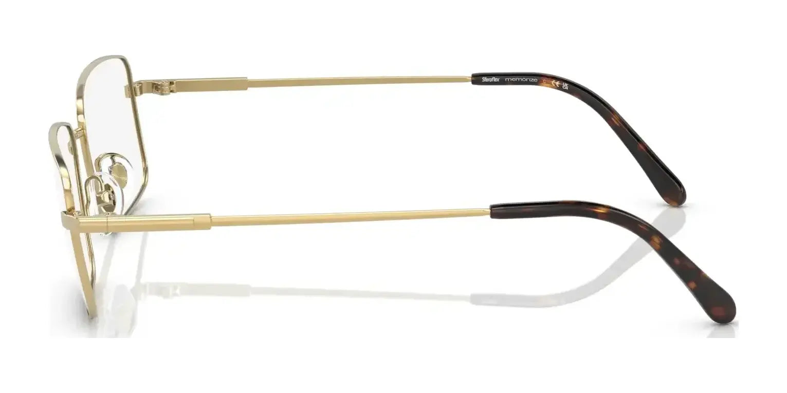 Sferoflex SF9005 Eyeglasses Sferoflex SF9005 Eyeglasses