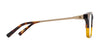 SPY HARDWIN Fusion Eyeglasses / Black Brushed Bronze / Size 50