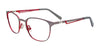 Takumi TK1099 Eyeglasses | Size 44 / Matt Steel & Red