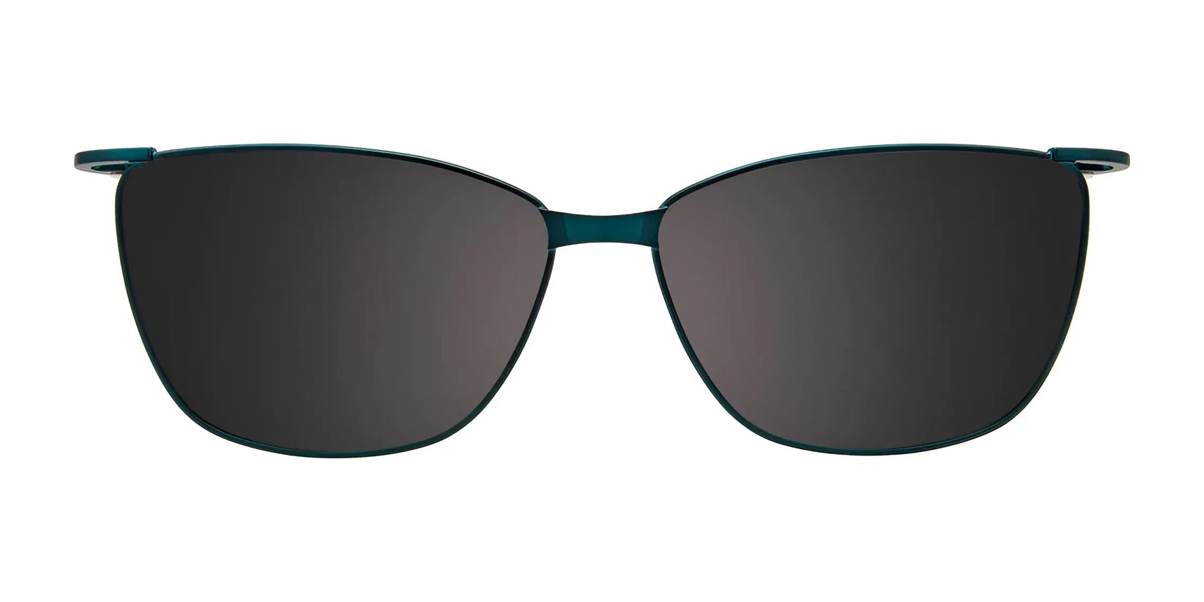 Takumi TK1291 Eyeglasses with Clip-on Sunglasses Clip Only (Color №060) Takumi TK1291 Eyeglasses with Clip-on Sunglasses Clip Only (Color №060)