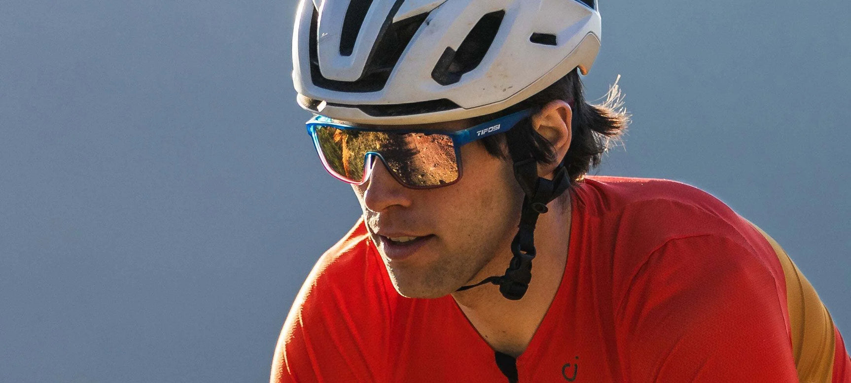 Tifosi Optics SANCTUM Sunglasses Tifosi Optics SANCTUM Sunglasses