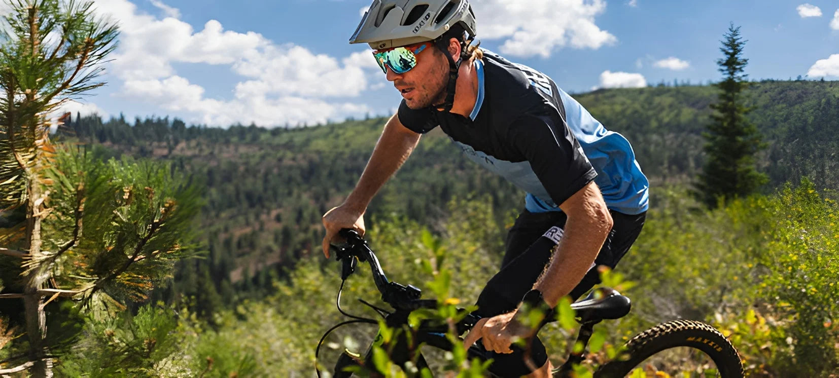 Tifosi Optics SLEDGE Sunglasses Tifosi Optics SLEDGE Sunglasses