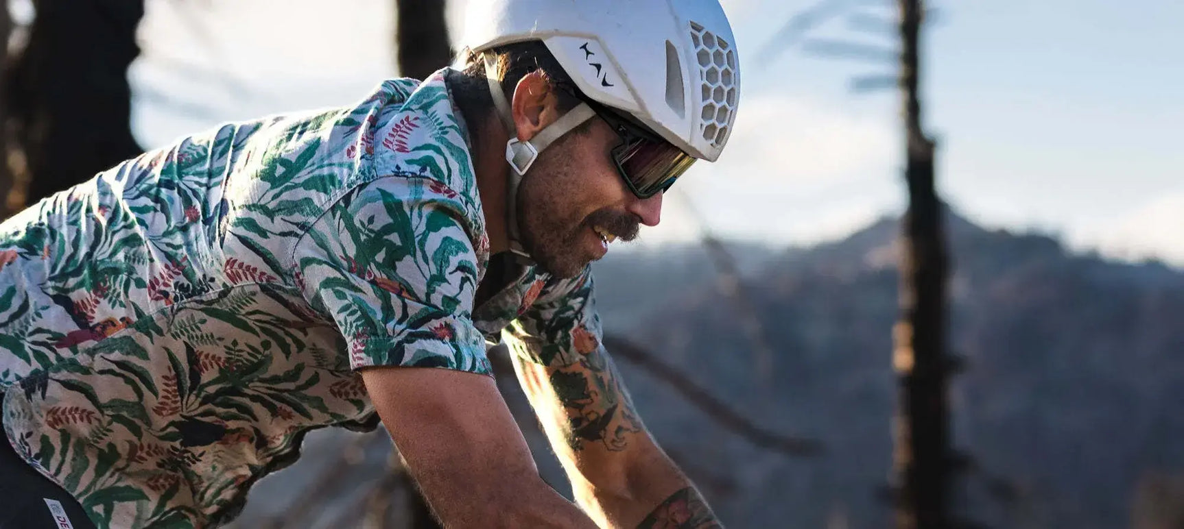 Tifosi Optics STASH Sunglasses Tifosi Optics STASH Sunglasses