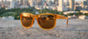 Tifosi Optics SWANK XL Sunglasses | Size 55 / Blackout/Smoke Tint