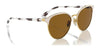 Vogue VO4303S Sunglasses | Size 56 / Top Black/Pale Gold / Black Smoke (3N 11.5%) №352/87