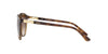 Vogue VO5165S Sunglasses / Dark Havana №W65613 / Brown Gradient (3N 16%) / Size 55