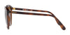 Vogue VO5270S Sunglasses | Size 57 / Top Havana/Brown Transparent №238673 / Dark Brown (3N 9%)