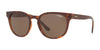 Vogue VO5271S Sunglasses | Size 53 / Top Havana/Brown Transparent №238673 / Dark Brown (3N 9%)