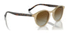 Vogue VO5327S Sunglasses / Black / Dark Grey (3N 9.3%) №W44/87 / Size 48