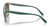 Vogue VO5453S Sunglasses | Size 53 / Transparent Light Green / Brown Gradient (3N 16%) №302213