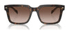 Vogue VO5573S Sunglasses | Size 55 / Dark Havana / Gradient Brown (3N 16%) №W65613