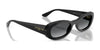 Vogue VO5582S Sunglasses | Size 53 / Dark Havana / Dark Brown (3N 14.5%) №W65673
