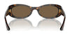 Vogue VO5582S Sunglasses | Size 53 / Dark Havana / Dark Brown (3N 14.5%) №W65673