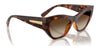 Vogue VO5607S Sunglasses | Size 53 / Black / Dark Grey (Polarized) (3P 10%) №W44/81