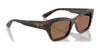Vogue VO5658SU Sunglasses | Size 53 / Black / Dark Brown (3N 14.2%) №W44/73