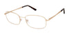 XXL Eyewear GYRENE Eyeglasses / Gold / Size 56