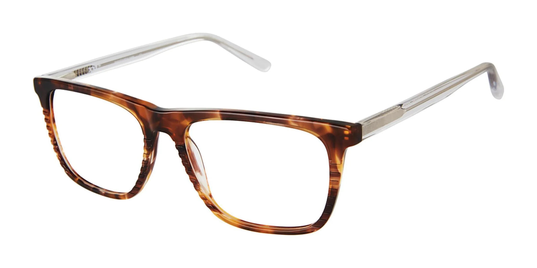 XXL Eyewear Pelican Eyeglasses Tortoise XXL Eyewear Pelican Eyeglasses Tortoise