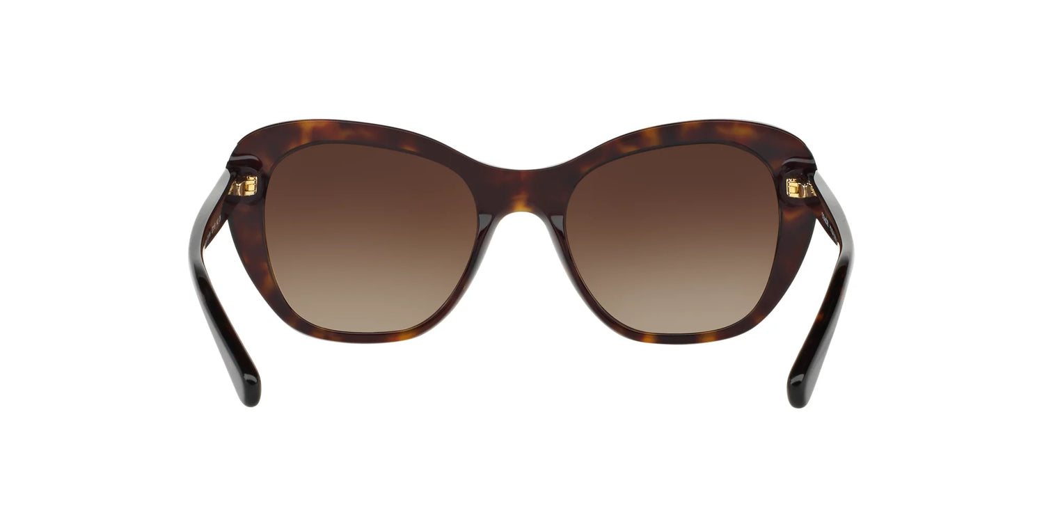 Coach L1631 HC8204 Sunglasses | Size 52 Coach L1631 HC8204 Sunglasses | Size 52