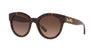 Coach L1084 HC8265 Sunglasses | Size 51 / Tortoise Glitter Signature C №557313 / Dark Brown Gradient (3N 10.7%)