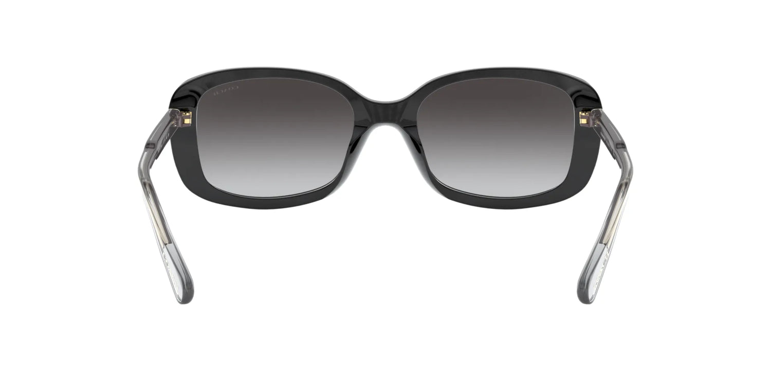 Coach L1121 HC8278F Sunglasses | Size 55 Coach L1121 HC8278F Sunglasses | Size 55