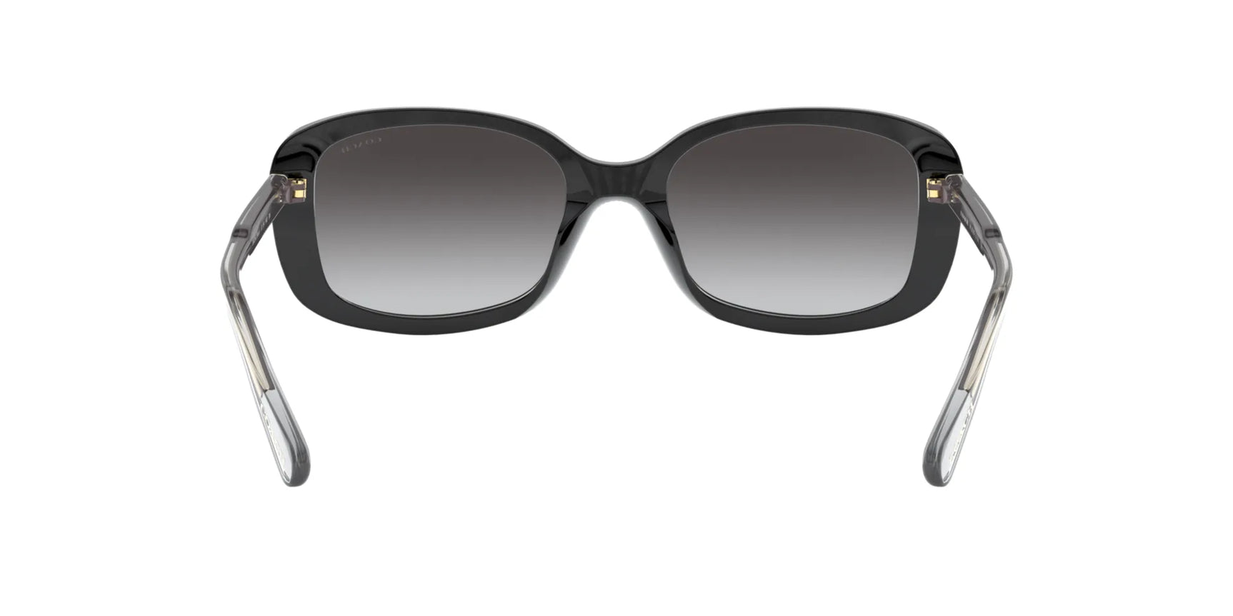 Coach L1121 HC8278F Sunglasses | Size 55 Coach L1121 HC8278F Sunglasses | Size 55