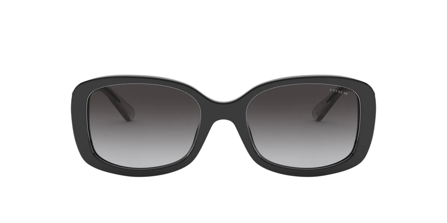 Coach L1121 HC8278F Sunglasses | Size 55 Coach L1121 HC8278F Sunglasses | Size 55