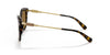 Coach L1172 HC8305 Sunglasses | Size 57 / Dark Tortoise / Brown Polarized (3P 11%)