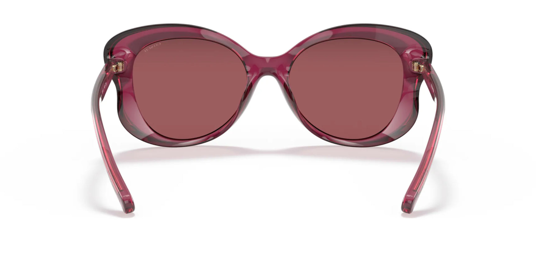 Coach L1170 HC8307U Sunglasses | Size 55 Coach L1170 HC8307U Sunglasses | Size 55