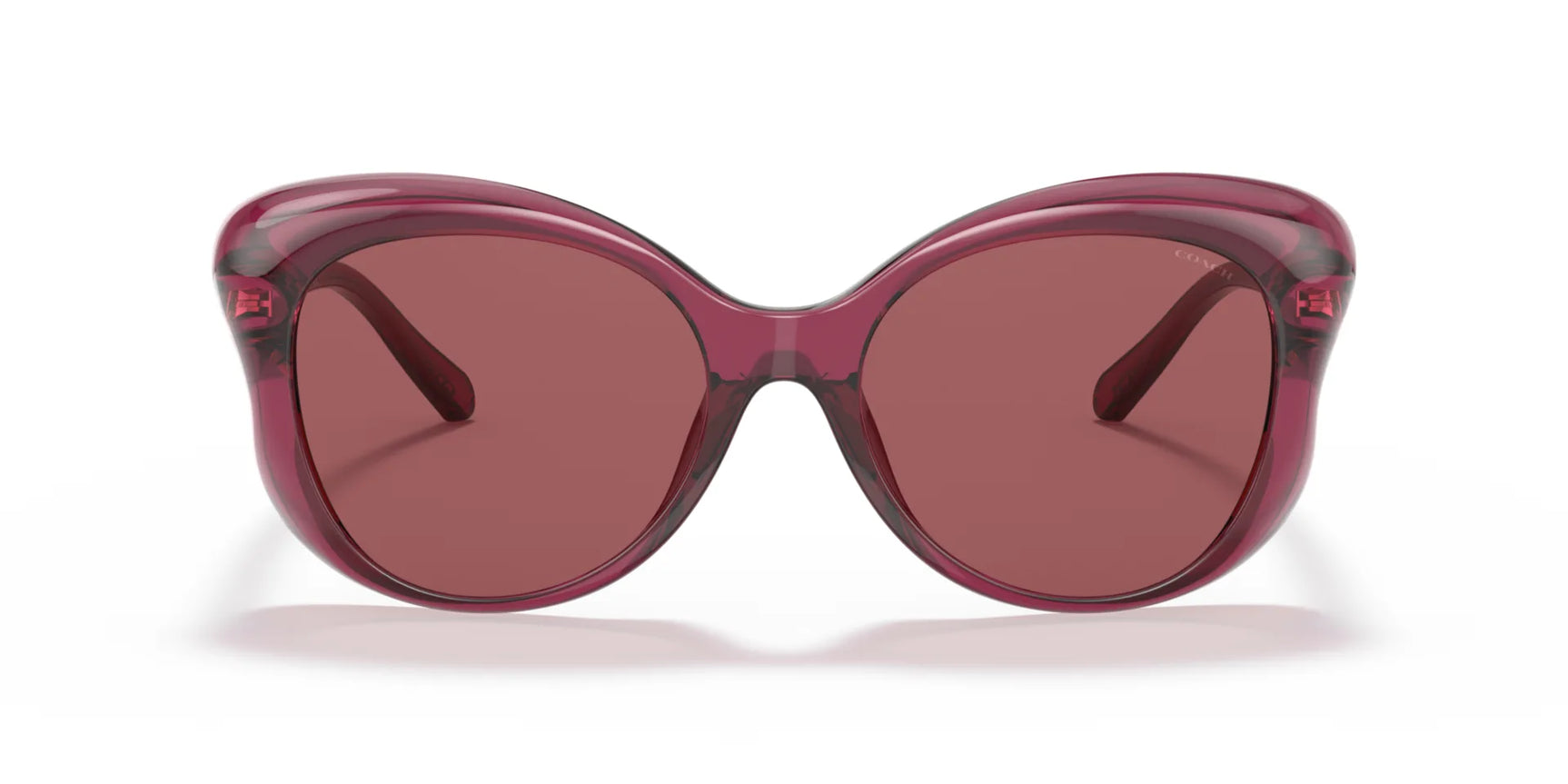 Coach L1170 HC8307U Sunglasses | Size 55 Coach L1170 HC8307U Sunglasses | Size 55