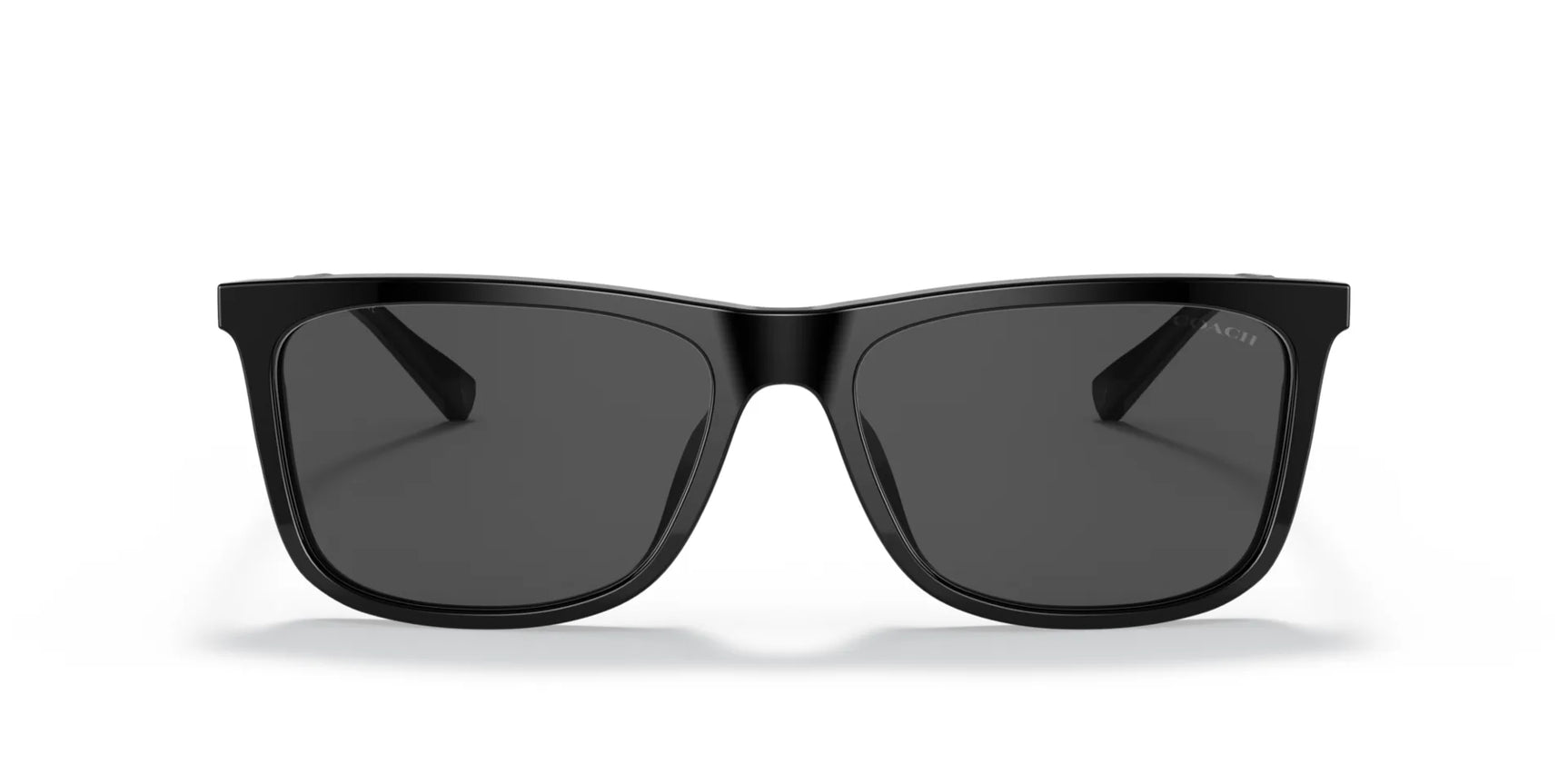 Coach C2096 HC8310U Sunglasses | Size 58 Coach C2096 HC8310U Sunglasses | Size 58