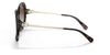 Coach C3483 HC8314 Sunglasses | Size 59 / Dark Tortoise / Brown Gradient (3N 10.7%)
